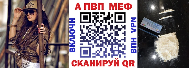 A PVP СК  Новочеркасск 