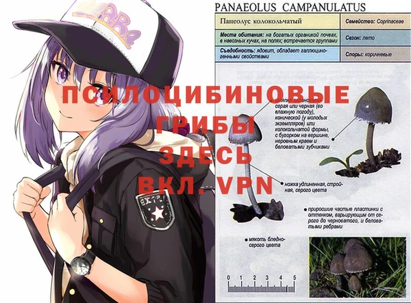 гашиш Верхний Тагил